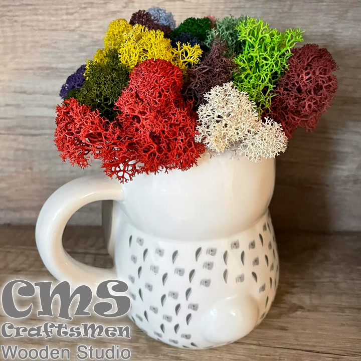 Crafts Men Studio       "Colorful" 