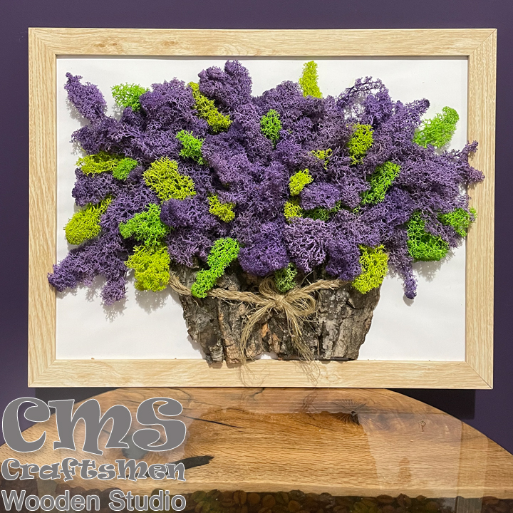 CMS     