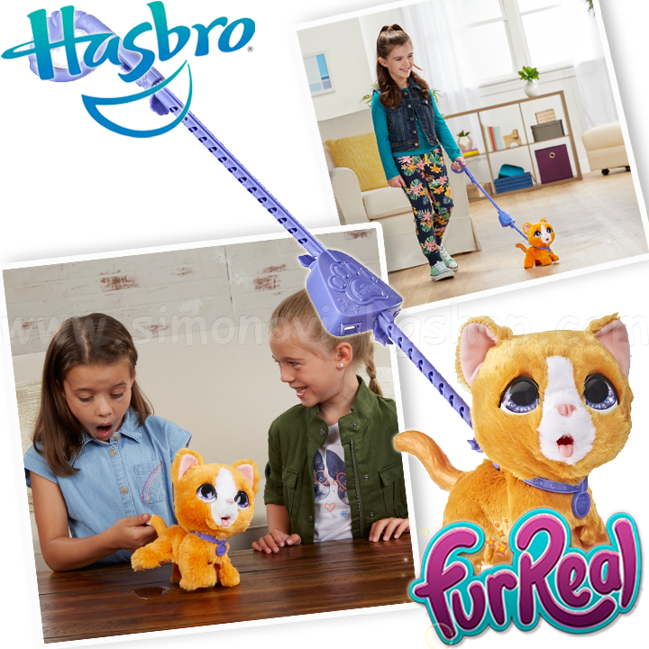      Lil’ Wags 8949