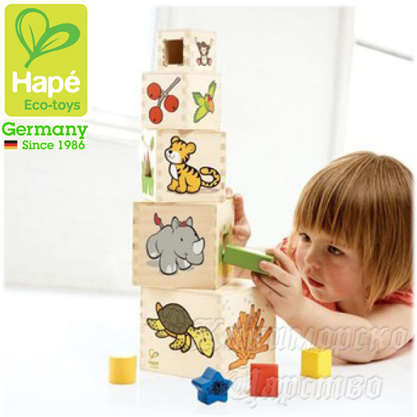Hape - Eco Toys      702833