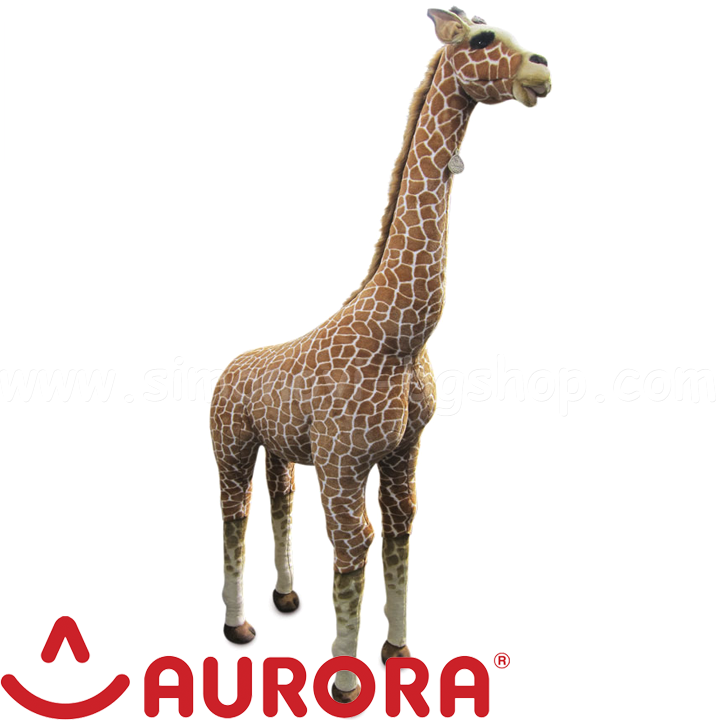 Aurora    205. 150805A