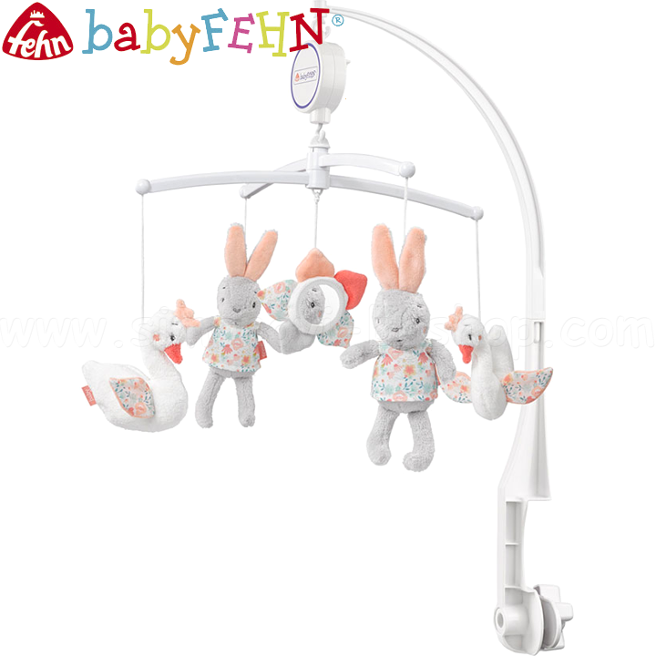 Baby FehnSchwanen See       62137
