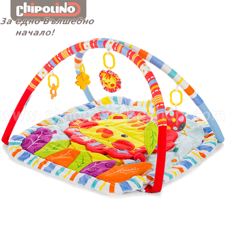 Chipolino     PGF01702BLI