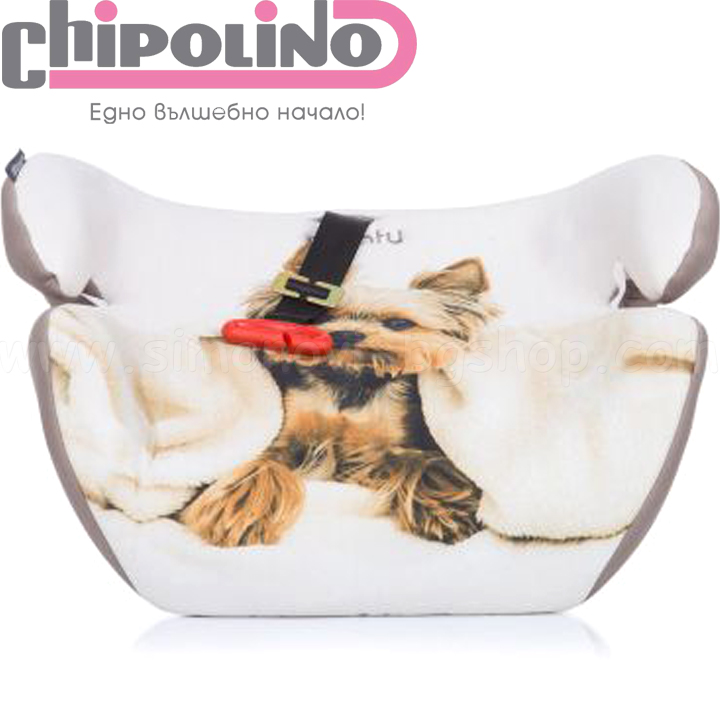 2022 Chipolino    22-36 Monty Puppy SDKMO0224PU