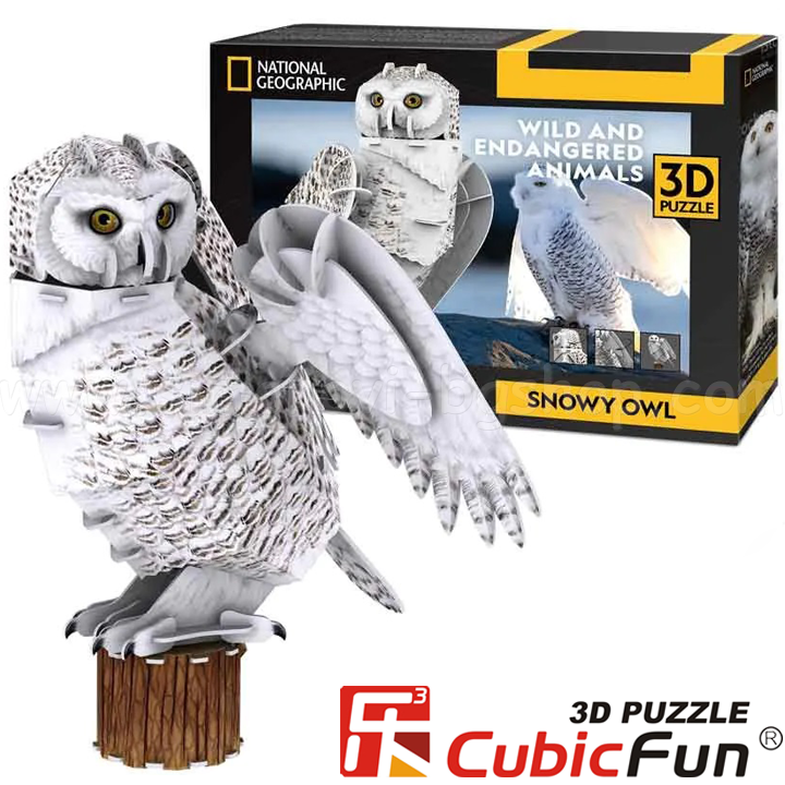 *3D Cubic Fun Puzzles   National Geographic   62. DS1079h