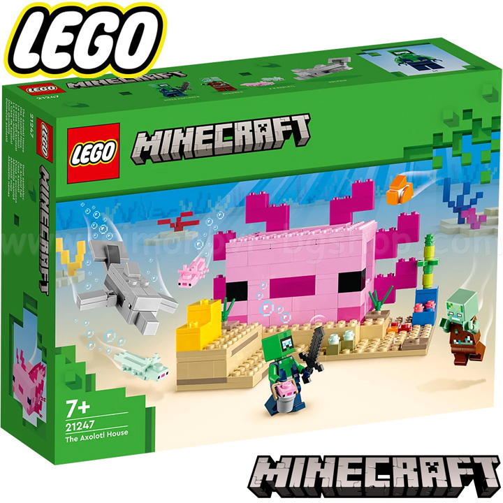 * 2023 Lego Minecraft    21247