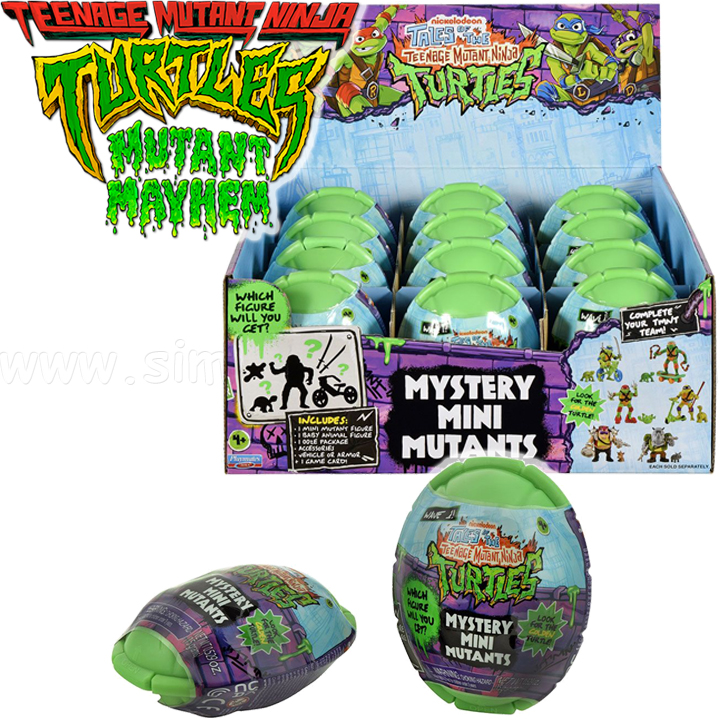 *2025 TMNT     84620E24-01