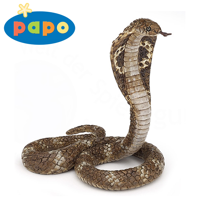 Papo -   -   50164