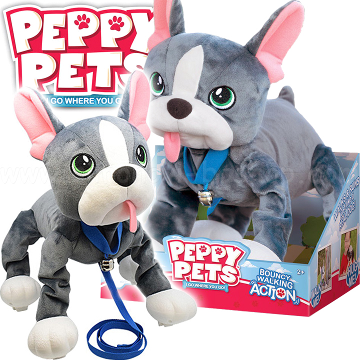 Peppy Pets      -  243518