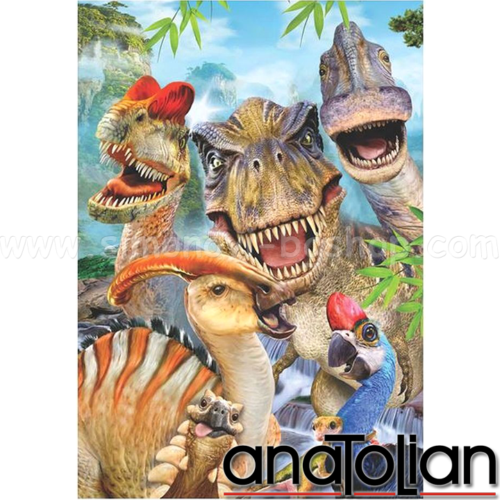 Anatolian Puzzle  3317