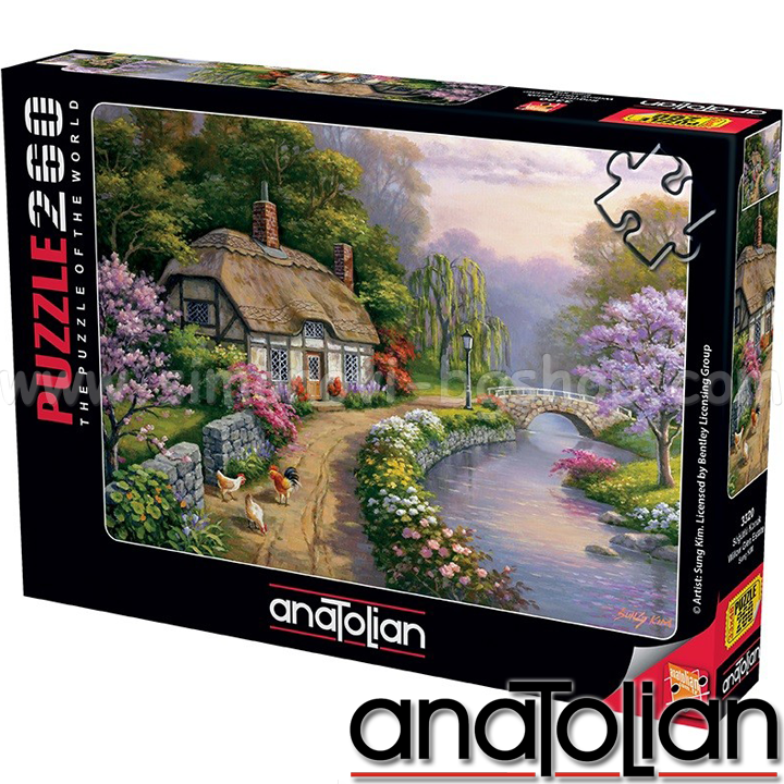 Anatolian Puzzle   3320