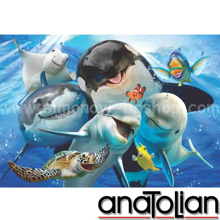 Anatolian Puzzle  3585