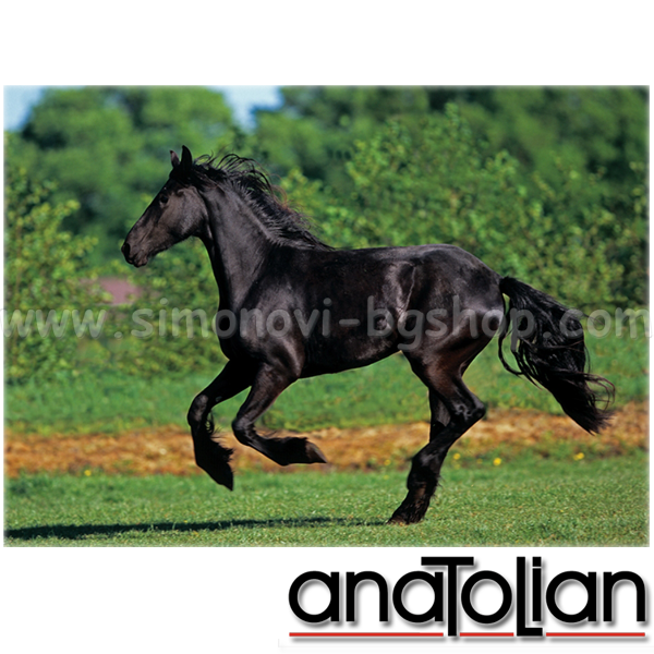 AnaToLian     3569