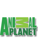Animal Planet   