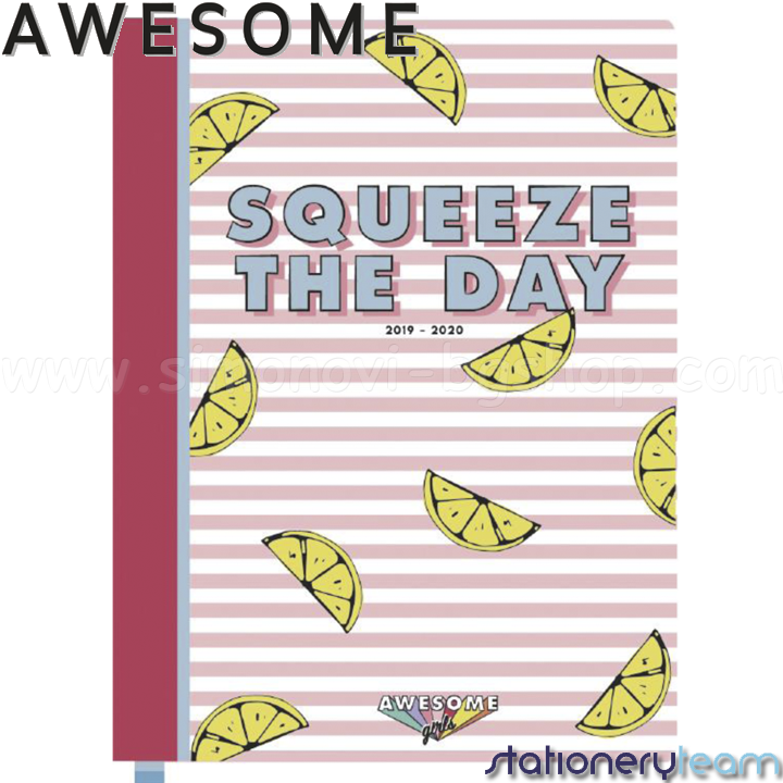*Awesome Epic Girls Дневник 06252 Stationery Team *Awesome Epic Girls Дневник 06252 Stationery Team