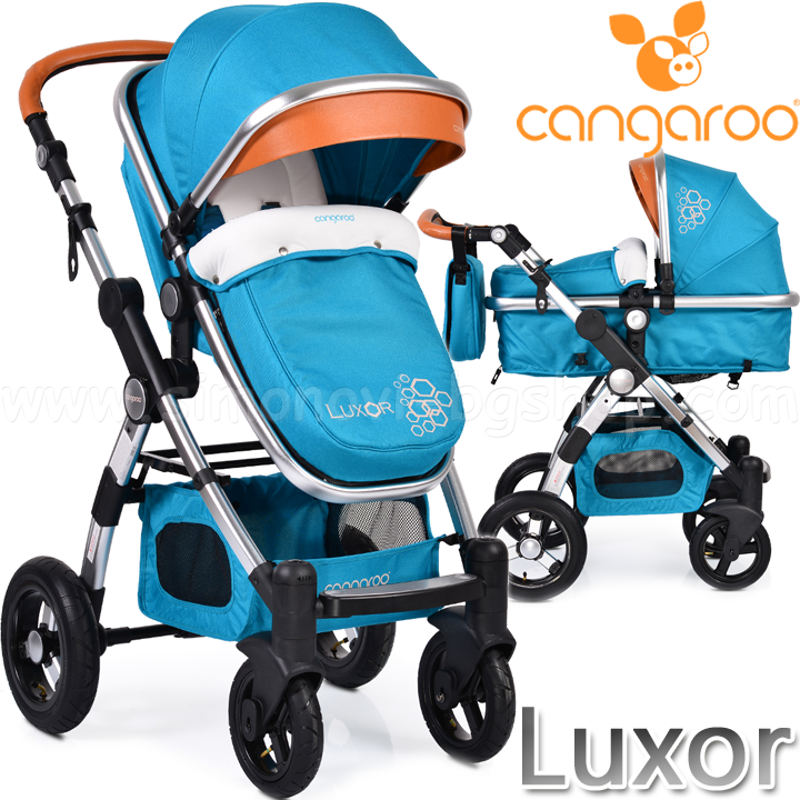 Cangaroo Luxor    Turquoise