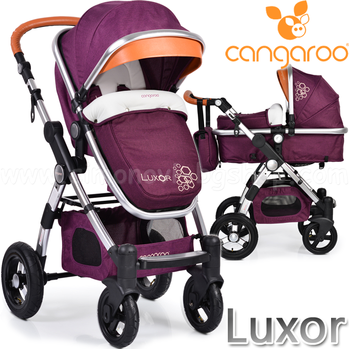 Cangaroo Luxor    Purple