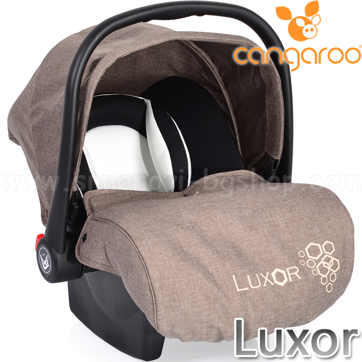 *Cangaroo Luxor    0-13. Brown