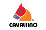 Cavallino