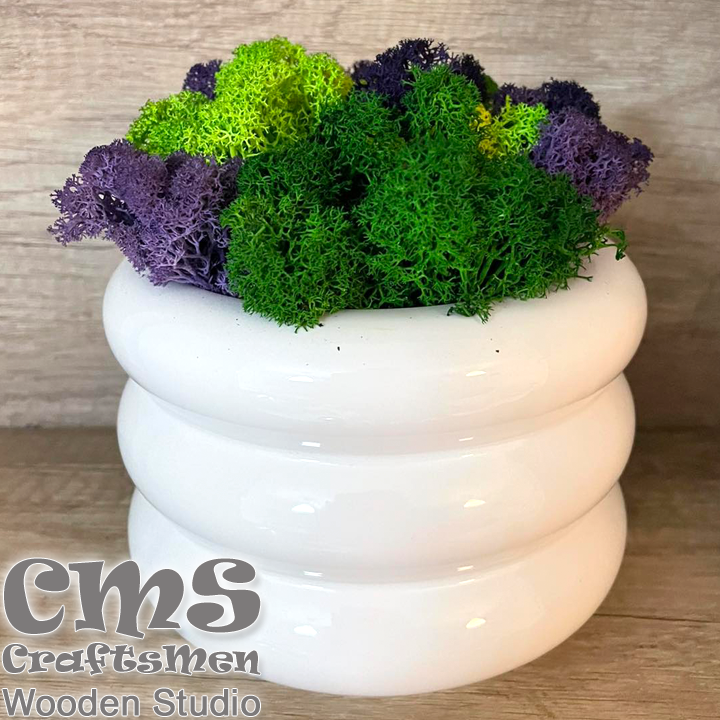 Crafts Men Studio      White "Rings"