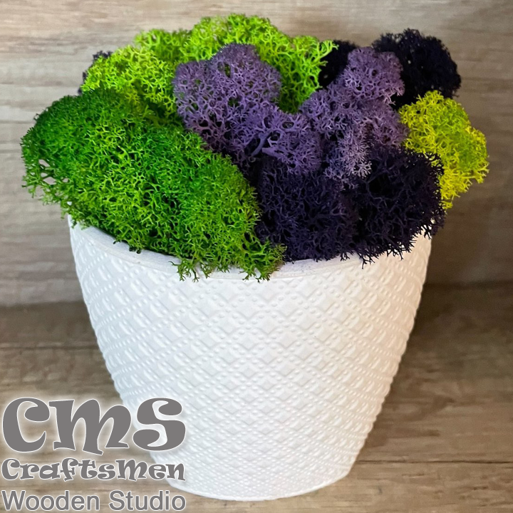 Crafts Men Studio      Rhombus "White/Green"