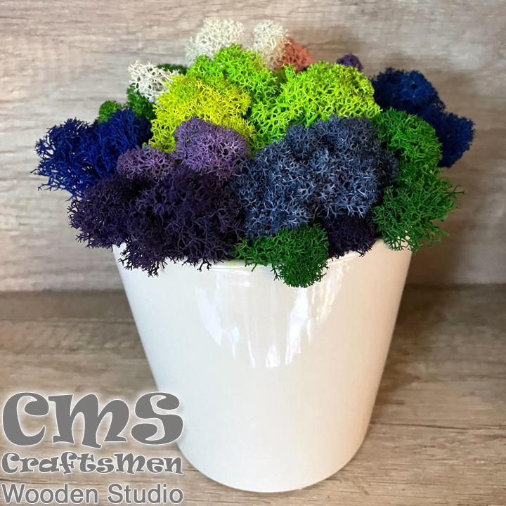 Crafts Men Studio      Ocean "White/Green"