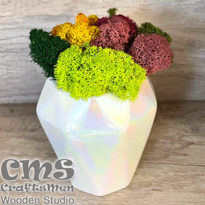 Crafts Men Studio       "Colored"