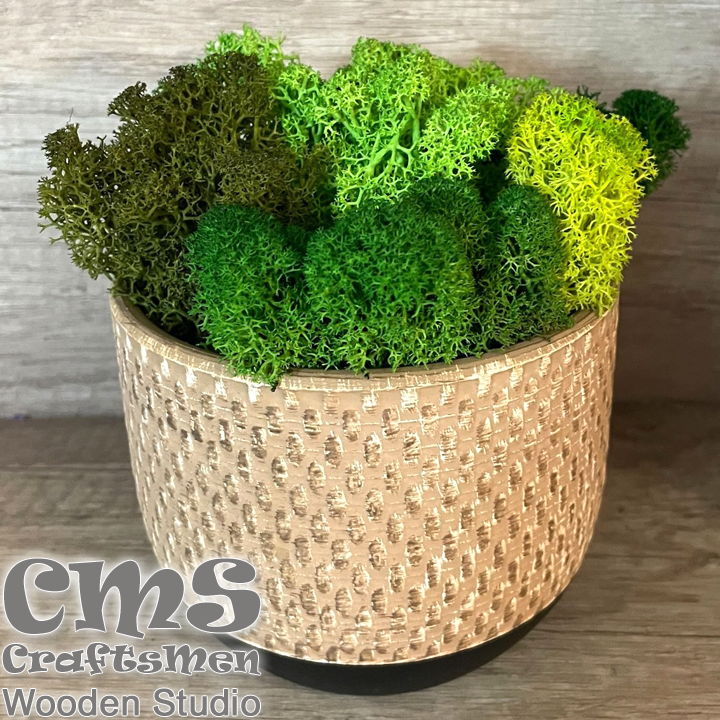 Crafts Men Studio      Golden "Dots/Green"