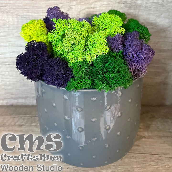 Crafts Men Studio      Pastel Dots "Grey/Green"