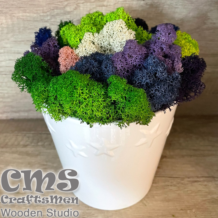 Crafts Men Studio      Stars "White/Green"
