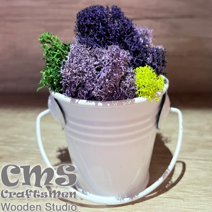 Crafts Men Studio      "Colorful"