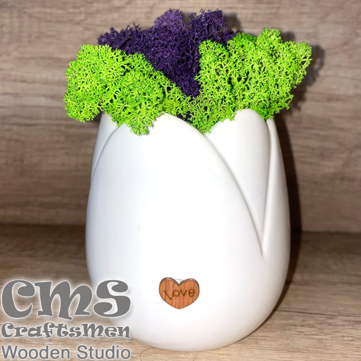 Crafts Men Studio      Tulip "Green/Lilac"