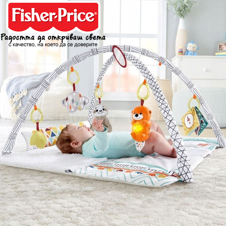 *Fisher Price   Deluxe Gym Multicoloured GKD45