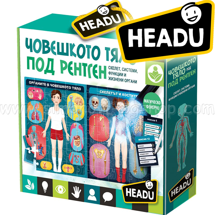 Headu Educational game "The human body under the X-ray" HBG29174