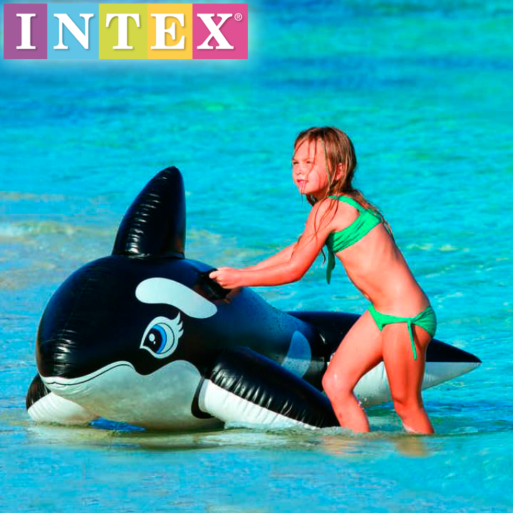 Intex -    58561