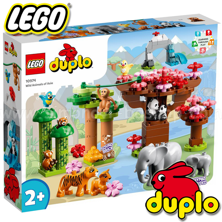 * 2022 Lego Duplo Town    10974
