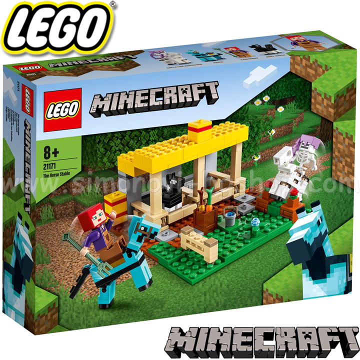 *2021 Lego Minecraft 21171