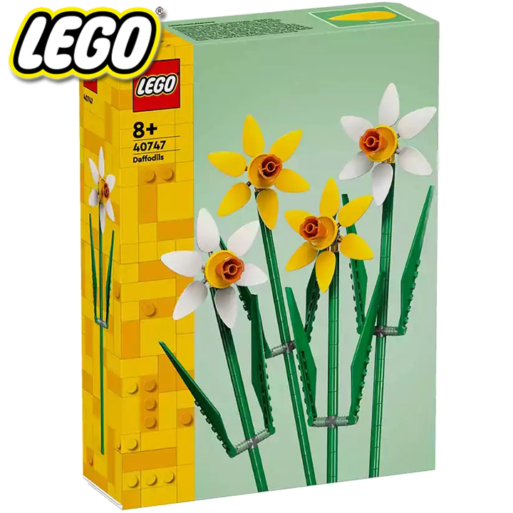 * Lego Seasonal  40747