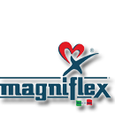 Magniflex By Pierre Cardin