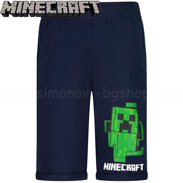 * 2022 Minecraft     DG-MNCT-105