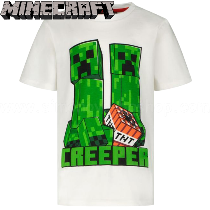 * 2022 Minecraft   Creeper and TNTDG-MNCT-107A