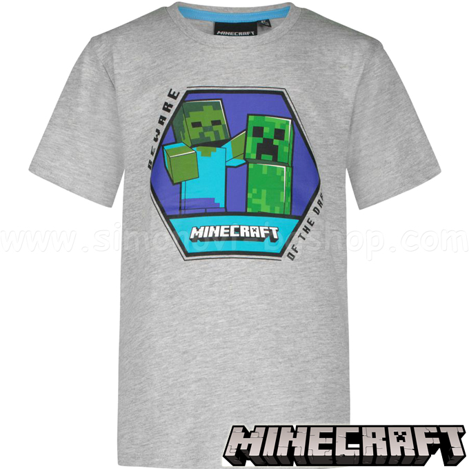2022 Minecraft   Beware of the DarkDG-MNCT-113B