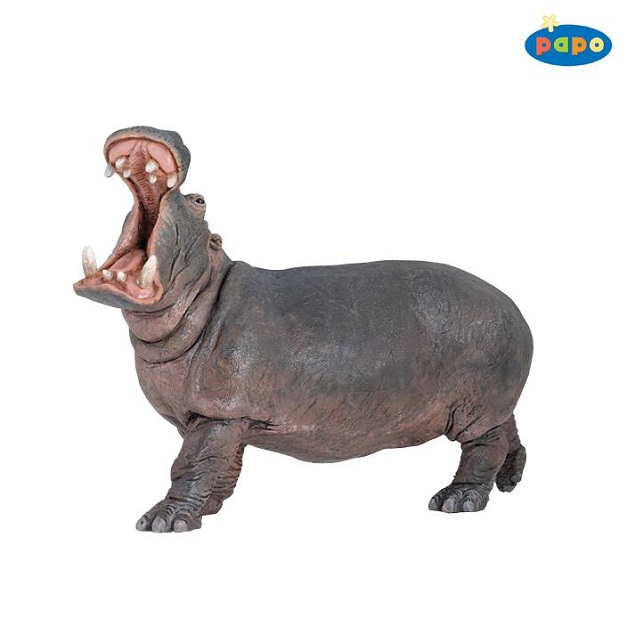 Papo