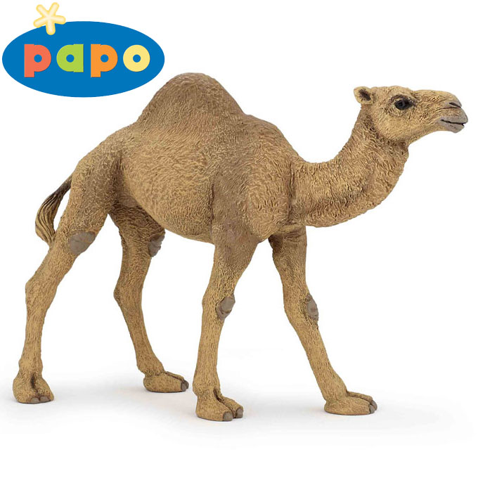 Papo -    -    50151