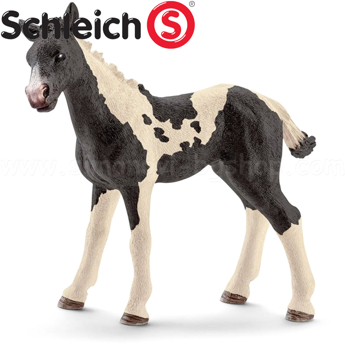 Schleich -  -   13803