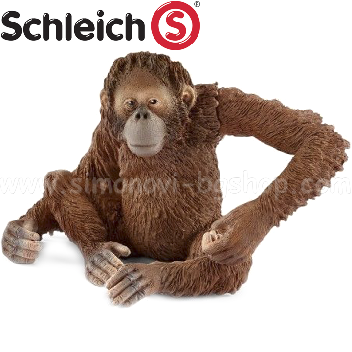 Schleich -    -  -  14775-01267