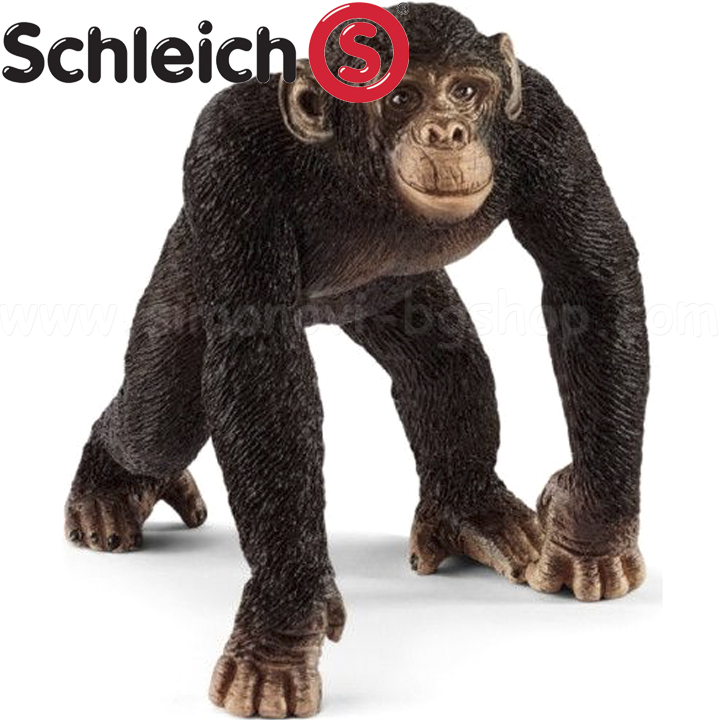 Schleich   14817-02085