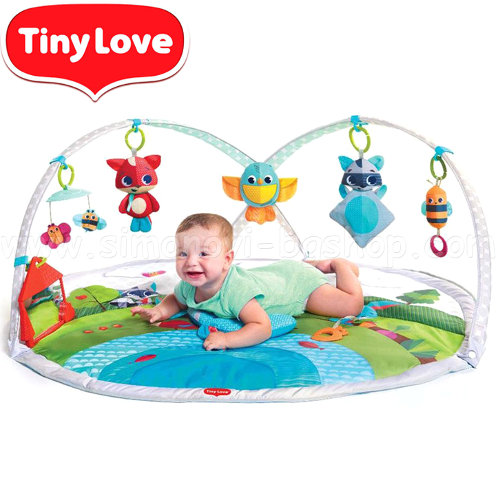 Tiny Love Active Gymnastics Dinamic Gymini