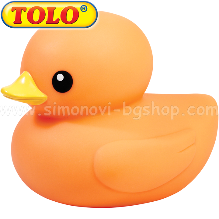 Tolo -      80028