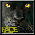 Big Face  